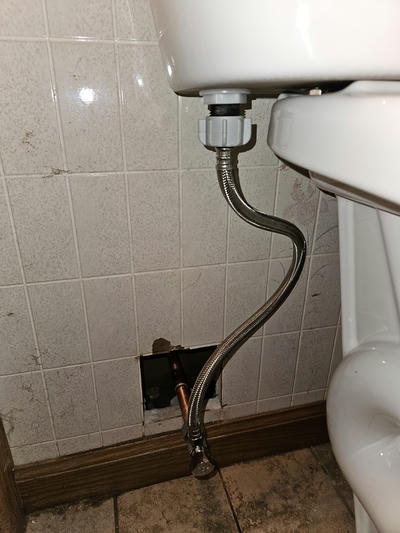 Shani